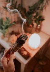 brown-tobacco.jpg brown tobacco