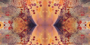 an abstract image of an orange and pink flower