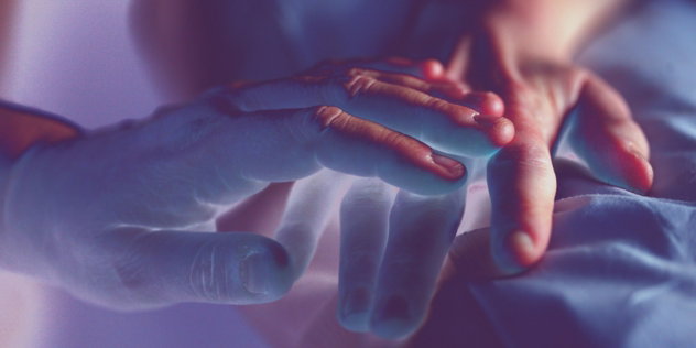 person-s-hands.jpg person's hands